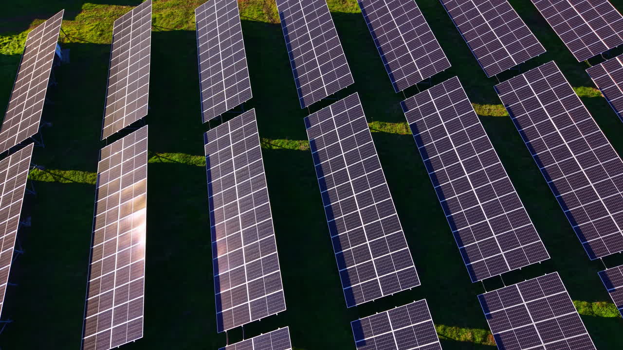File di pannelli solari catturano la luce del sole in un vasto campo verde in una giornata limpida, sfruttando l'energia rinnovabile in modo sostenibile.