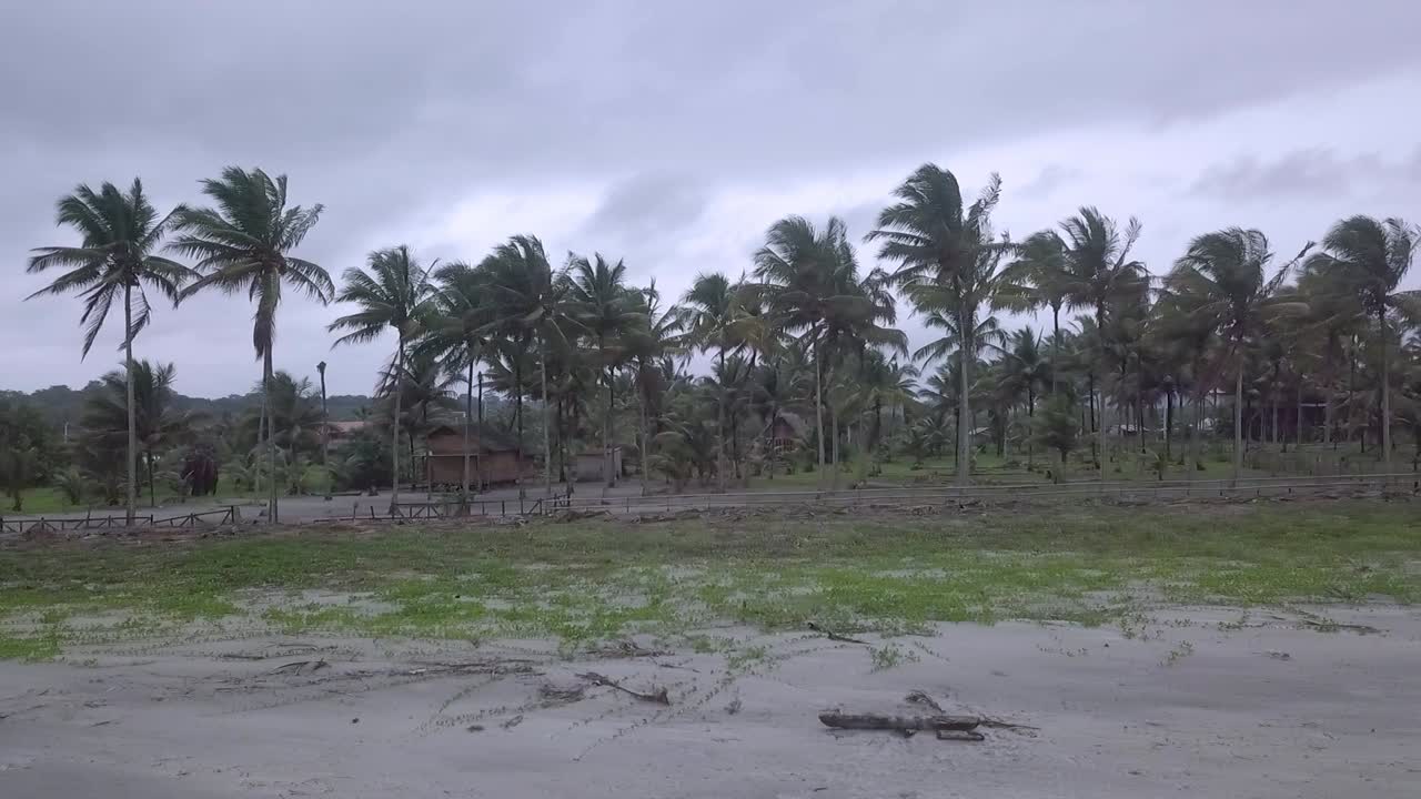 에스메랄다스 에 ⁇ 도르 열대 모래 해변 은 구름 이 많고 바람 이 부는 날 에 종려나무 와 함께 있다