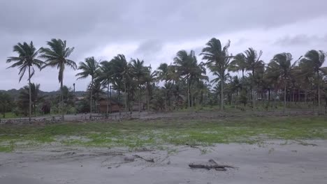 Esmeraldas-Ecuador-tropical-sand-beach-with-palm-tree-during-a-cloudy-windy-day