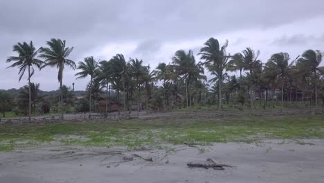 Esmeraldas-Ecuador-Tropischer-Sandstrand-Mit-Palme-An-Einem-Bewölkten,-Windigen-Tag