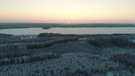 aerial, reverse, drone shot, over snowy trees, above finnish forest, at sunset, overlooking the frozen lake saimaa, on a sunny, winter evening, at pyhaselka, vuoniemi cape, in north karelia, finland