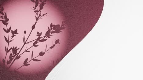 animación de arte gráfico de pantalla dividida con espacio blanco vacío y planta floral moviéndose por la suave brisa de verano en fondo rojo púrpura forma de gota