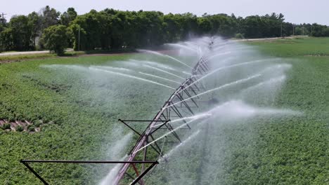 un campo agrícola en el centro de wisconsin es irrigado con un sistema de rociadores