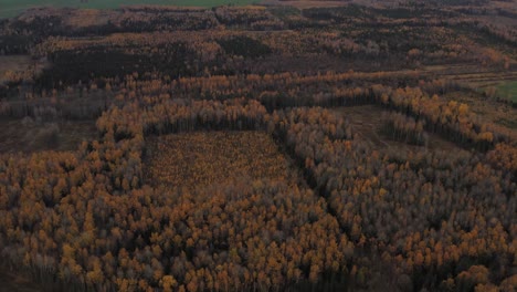 Bellas-Imágenes-Del-Tranquilo-Y-Brillante-Otoño-Dorado-En-Letonia---Toma-Aérea