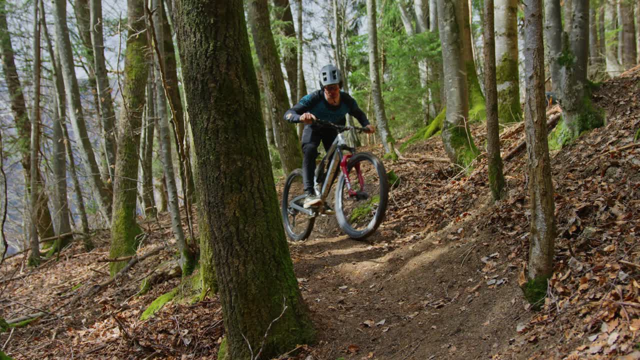 un ciclista de montaña realiza un giro cerrado a través de árboles estrechos en un bosque frondoso