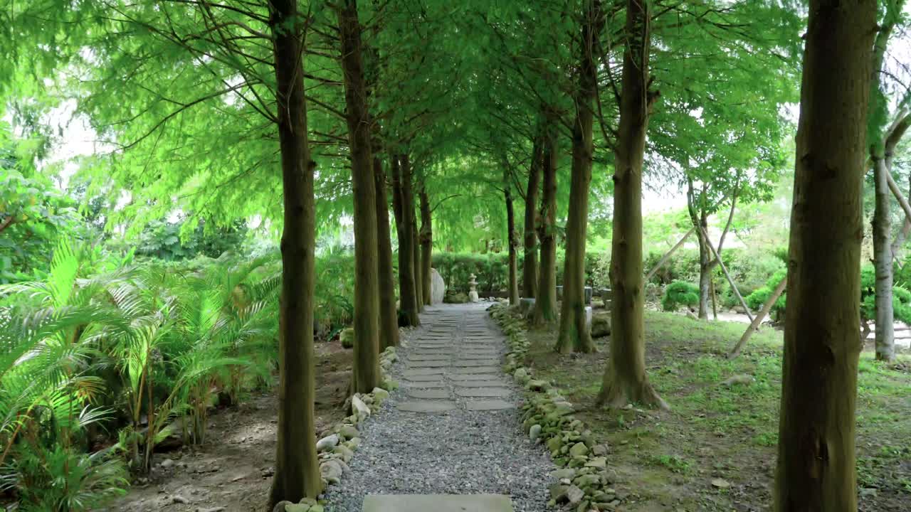 통로, 공원, 정원, 배경