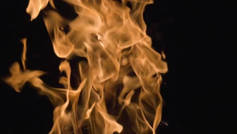 hot flames of bonfire in black backdrop