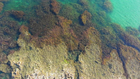 Rugged-Cliff-At-The-Coast-Of-A-Crystal-Clear-Blue-Sea-In-La-Union,-Philippines---aerial