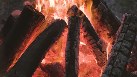 burning firewood in the fireplace close up