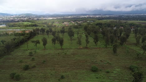 Vista-Aérea-De-La-Tierra-Agrícola-En-Arusha