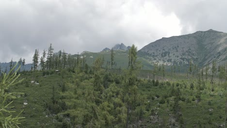 Panorama-Der-Berge,-Die-Aus-Dem-Wald-Auftauchen