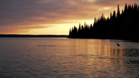 boating on a lake at sunset
