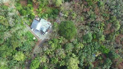 Aerial drone view of a traditional Kerala village home surrounded by lush green forest, coconut trees, and winding rural roads. Scenic Indian countryside landscape with tropical nature and serenity