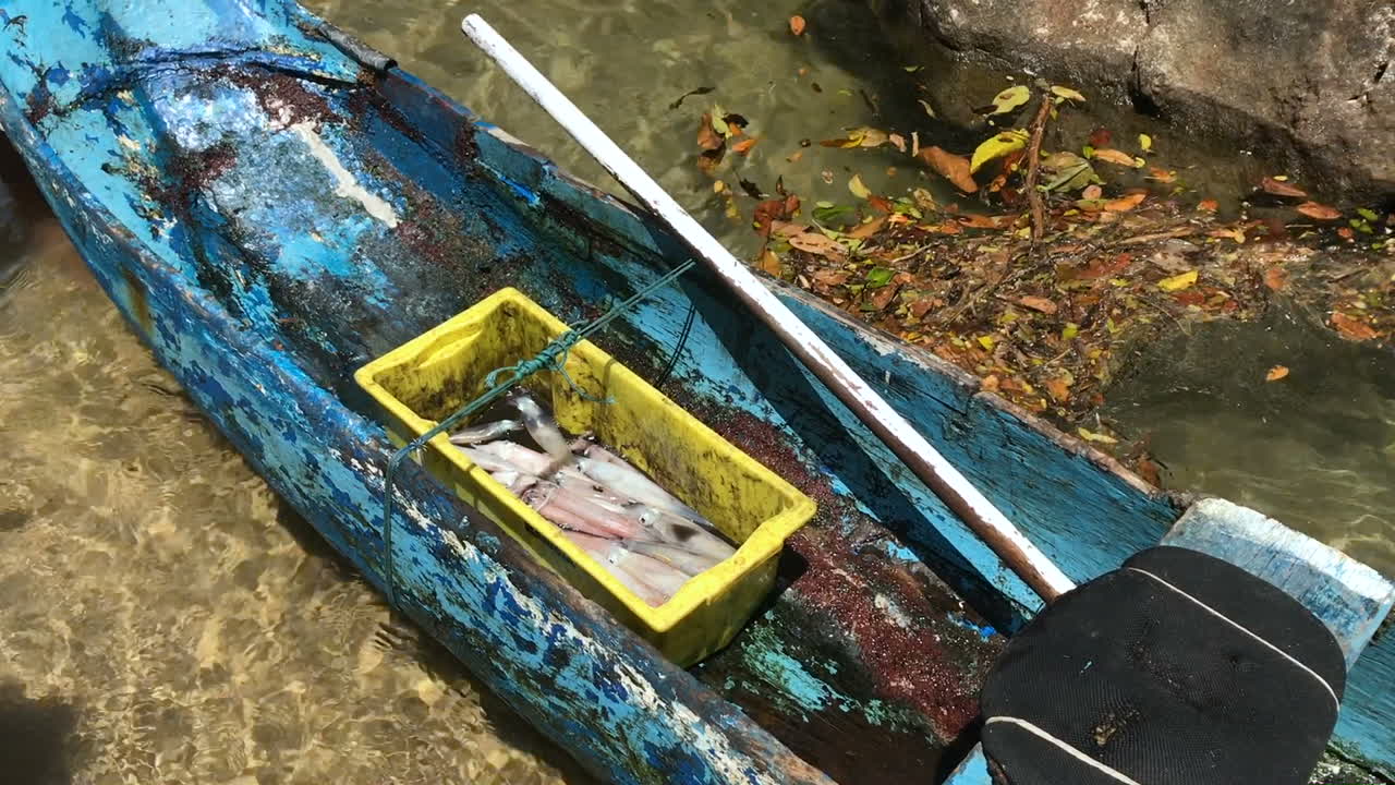 barco hecho nativo con pescado fresco capturado del océano, ubatuba brasil