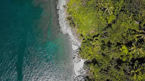 A-stunning-turquoise-ocean-on-a-lush-exotic-jungle-shoreline-in-the-Philippines