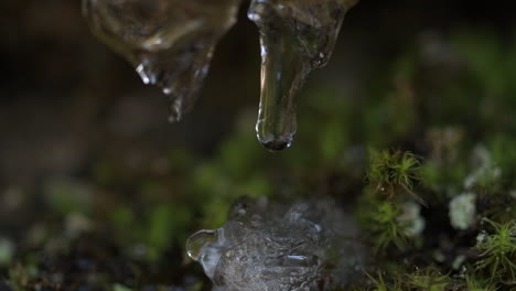 Slowmotion-Makroaufnahme-Von-Wassertropfen,-Die-Von-Eiszapfen-Fallen