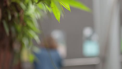 blurry person in background, green leaves in foreground