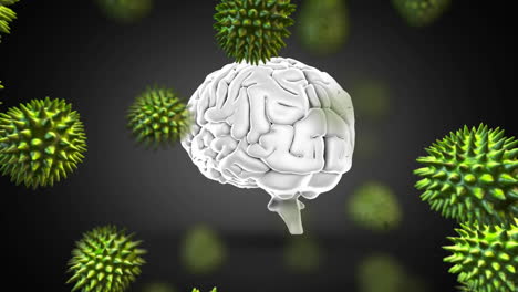 animación digital de múltiples células de covid-19 contra contra el cerebro humano girando sobre un fondo gris