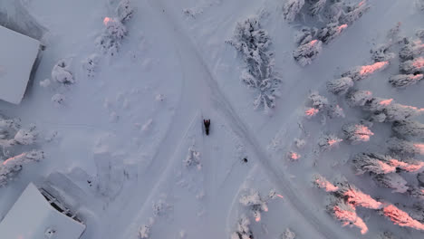 snowmobiles in arctic wilderness, sunny morning in lapland - overhead, drone shot