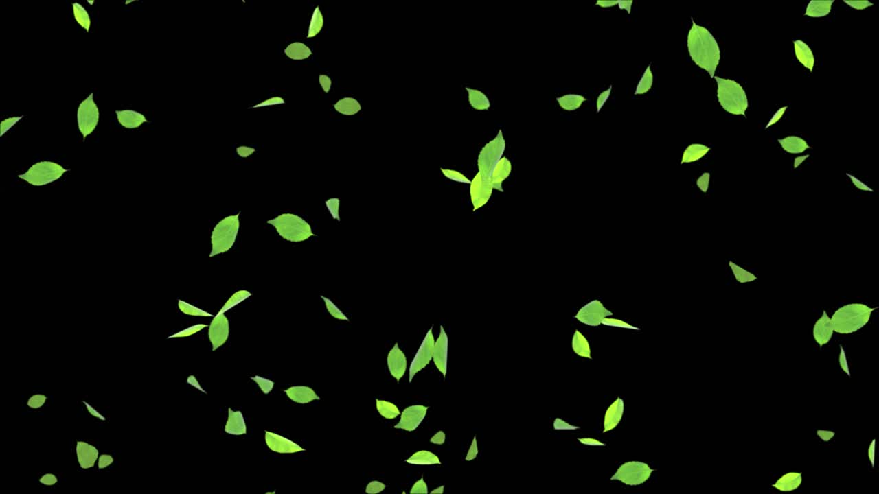 Beautiful leaves falling down motion graphic slow motion realistic 3d 4k loop animation weather
