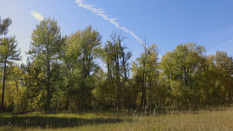 bozeman montana landscape fall colors 4k