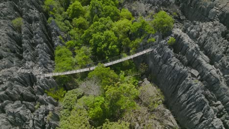 fly over the tourist on the bridge rope between stones and rocks in forest on madagascar