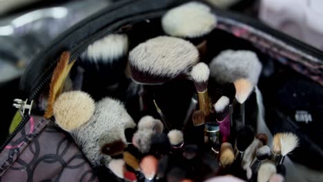 close-up of various makeup brushes in a bag, showcasing beauty tools