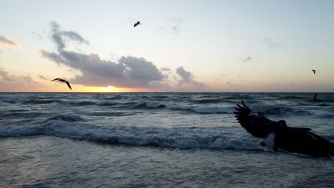 Wellen-Und-Möwen-Während-Eines-Sonnenuntergangs-An-Der-Playa-Del-Carmen-An-Der-Riviera-Maya,-Mexiko