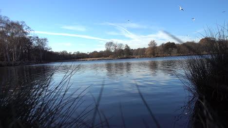 still blue water on a winter lake with blue sky