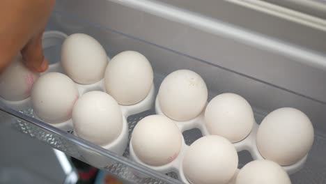 putting eggs in the refrigerator