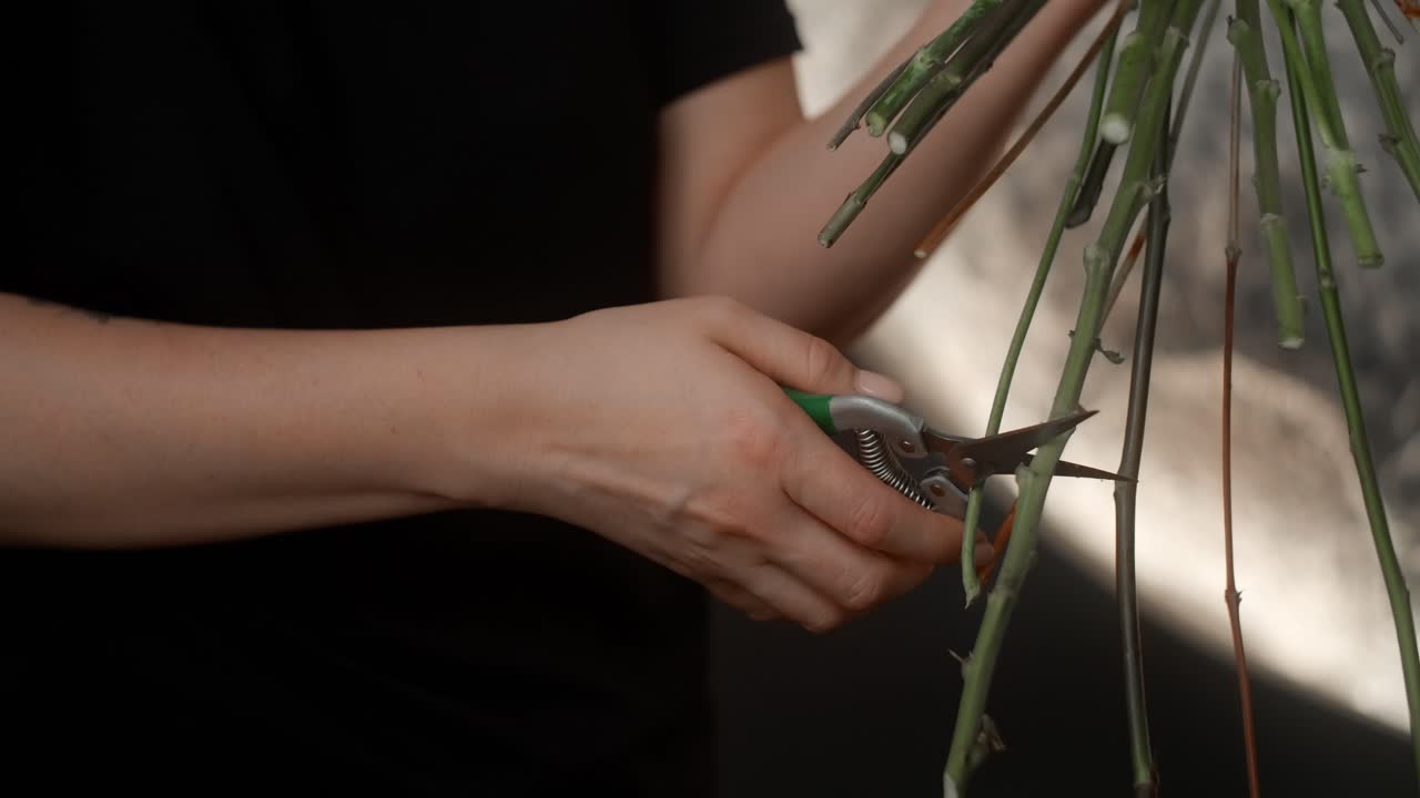 Floral Arrangement - Cutting and Preparing Stems