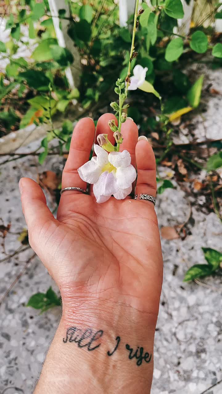 "아직도 나는 일어난다"라는 문신을 가진 작은  꽃을 들고 있는 손