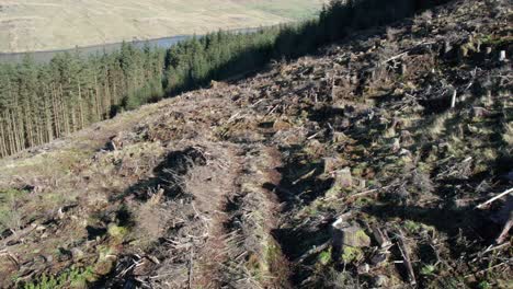 Backwards-drone-dolley-shot-over-a-deforestation-on-a-mountain-side-on-a-sunny-day