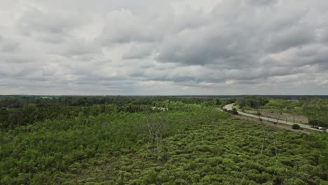 Bewölkter-Himmel-über-Dichter-Vegetation-In-Der-Nähe-Der-Landstraße