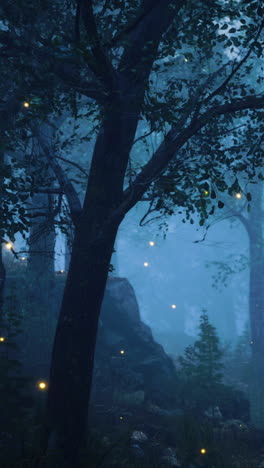 enchanted forest at night