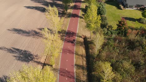 Aerial-forward-movement-looking-down-on-a-bicycle-freeway-in-The-Netherlands-in-a-suburban-environment-with-tall-autumn-trees-along-the-side