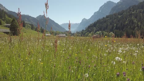 Pragelpass,-Switzerland:-meadow-down-top-view-of-the-Panorama-of-the-canton-Glarus,-swiss