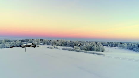 frost layered winter flora seasonal at magic hour aerial