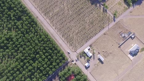 Flight-over,-Chuhuahua-Mexico-Lebaron-Family-walnut-trees