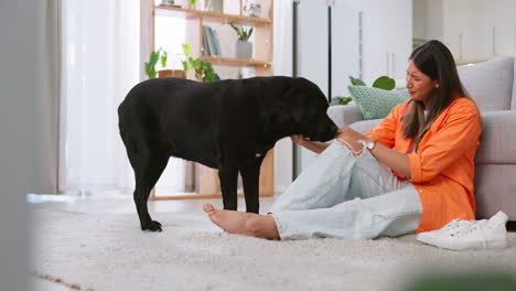 woman, smile and dog in a home with pet owner