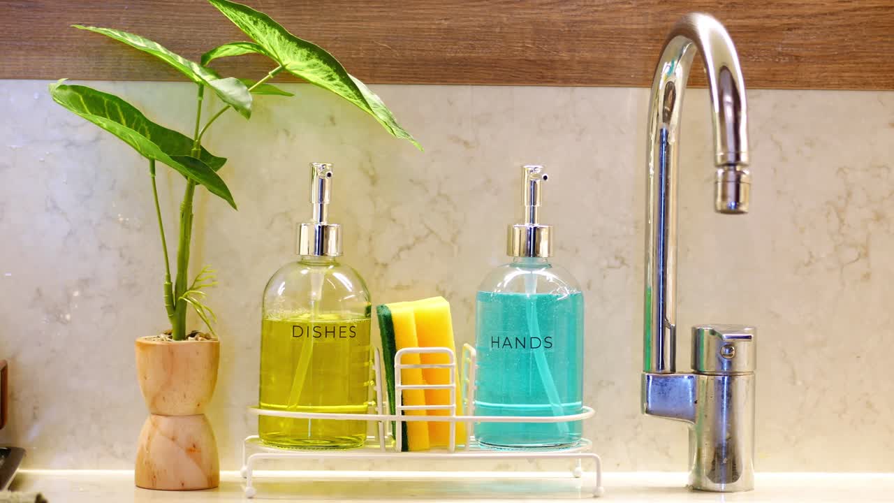 Kitchen Sink with Soap Dispensers and Plant