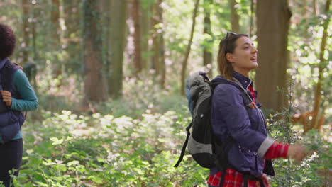 group of young female friends on camping holiday hiking through woods and enjoying nature together