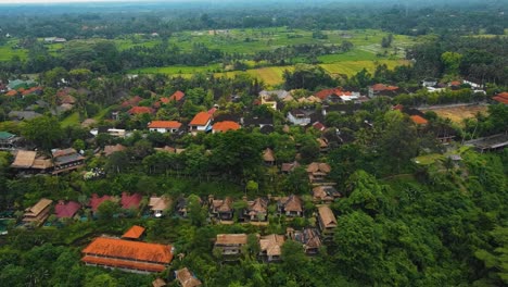 Wunderschöne-Filmische-Ubud--Und-Bali-Drohnenaufnahmen-Mit-Exotischen-Reisterrassen,-Kleinen-Bauernhöfen,-Dorfhäusern-Und-Agroforstplantagen