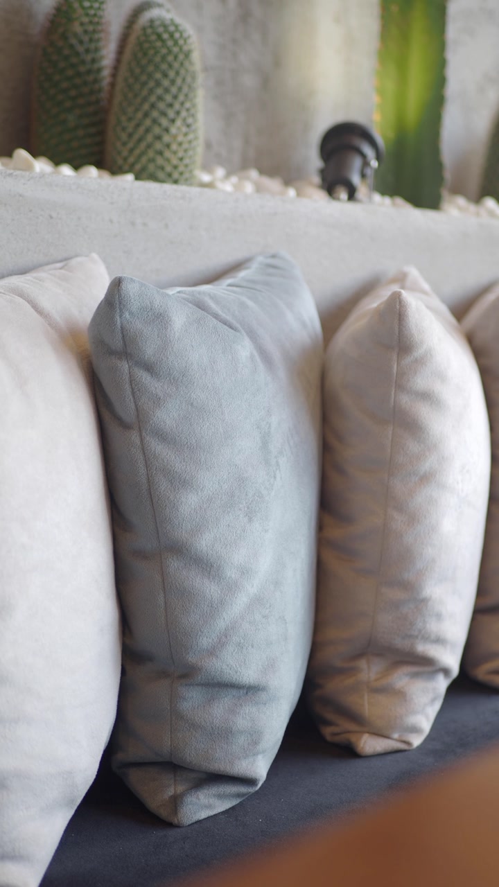 Close-up Panning Shot of Modern Sofa Cushions with Cactus Decor
