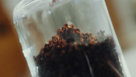 close up shot of aromatic dried spice herbs falling into a glass jar