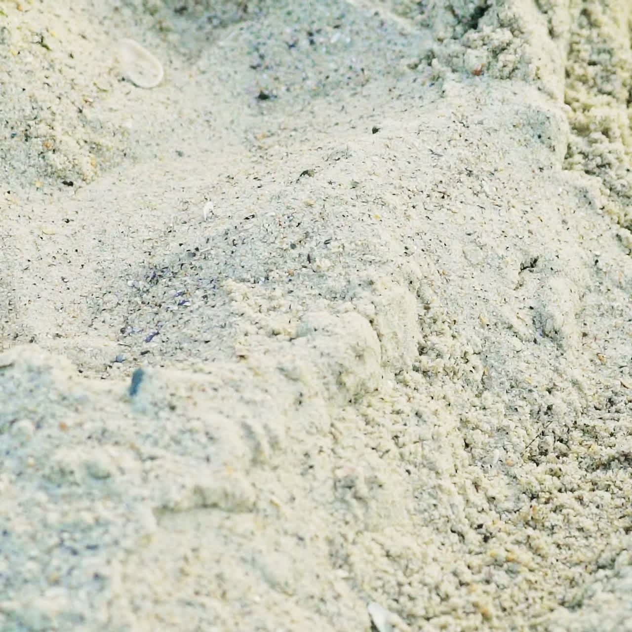 Feet of a human are rummaging sand on the beach in the summer in warm weather. Sandy shore. Rest on the sea.