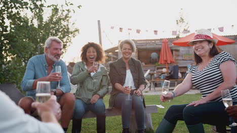 group of mature friends sitting around fire and making a toast at outdoor campsite bar