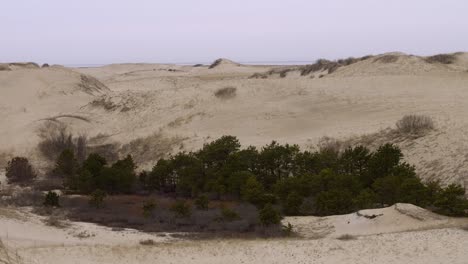 provincetown, ma