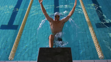 swimmer training in a swimming pool