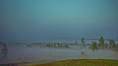 Tiefliegender-Nebel-Im-Waldtal---Mystischer-Zeitraffer
